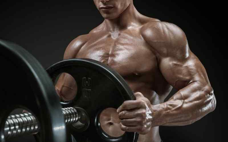 Bodybuilder Bodybuilder