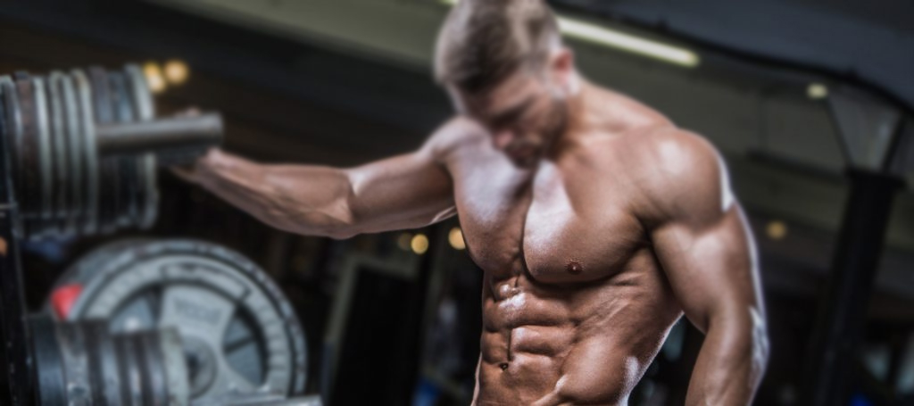 build muscle
