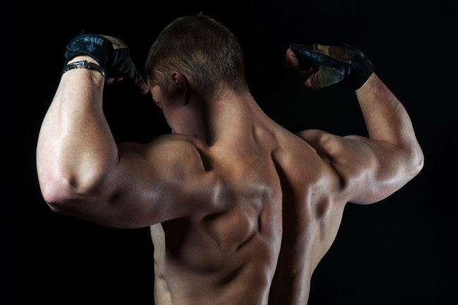 muscle gaining steroids
